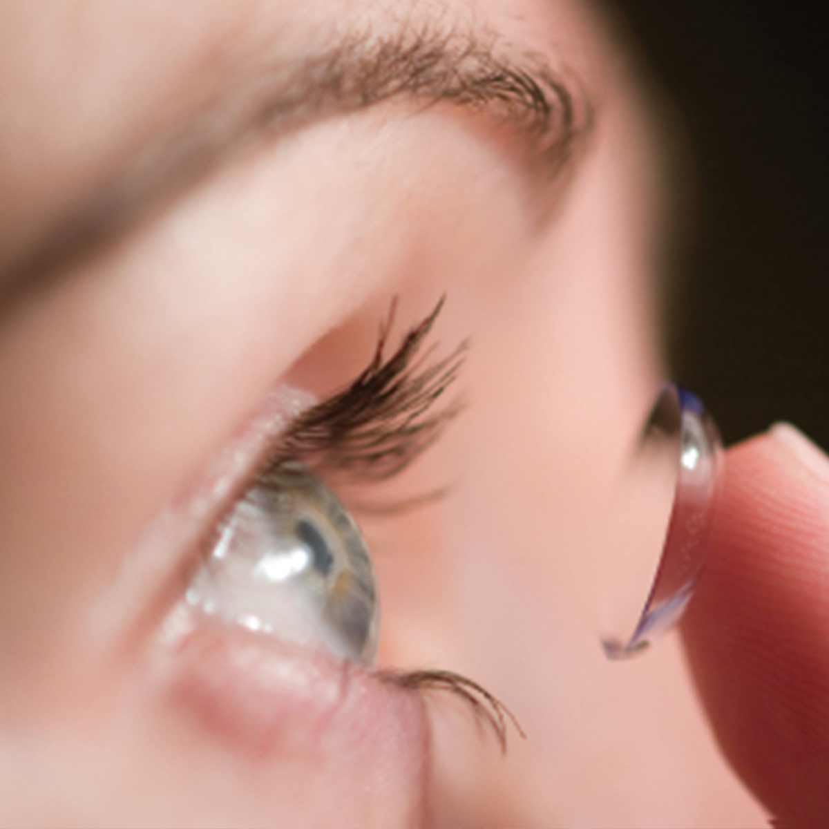 Contact Lenses